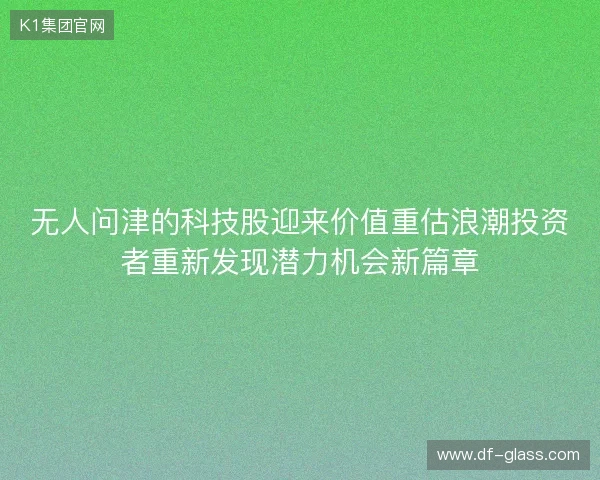 无人问津的科技股迎来价值重估浪潮投资者重新发现潜力机会新篇章 无人问津的科技股迎来价值重估浪潮投资者重新发现潜力机会新篇章